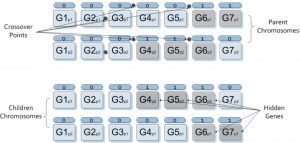 Tags are appended to chromosomes to identify which genes are hidden. These binary tags evolve over subsequent generations based on logical or stochastic operations.